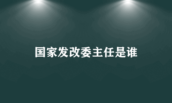 国家发改委主任是谁