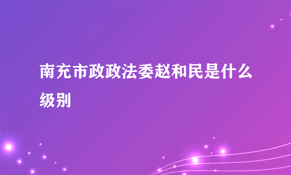 南充市政政法委赵和民是什么级别