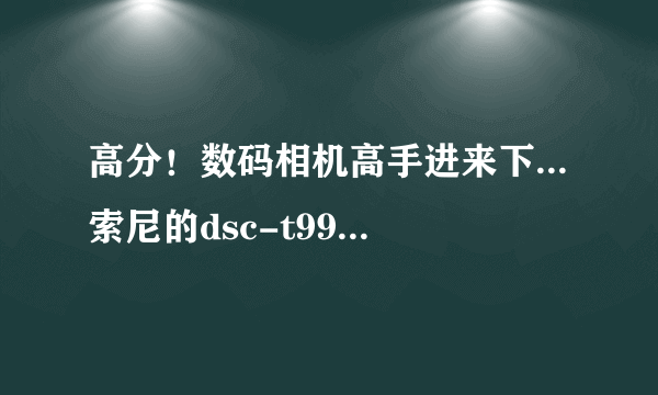 高分！数码相机高手进来下...索尼的dsc-t99c和dsc-t110哪个好