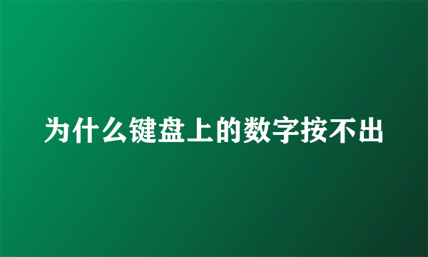 为什么键盘上的数字按不出