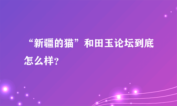 “新疆的猫”和田玉论坛到底怎么样？