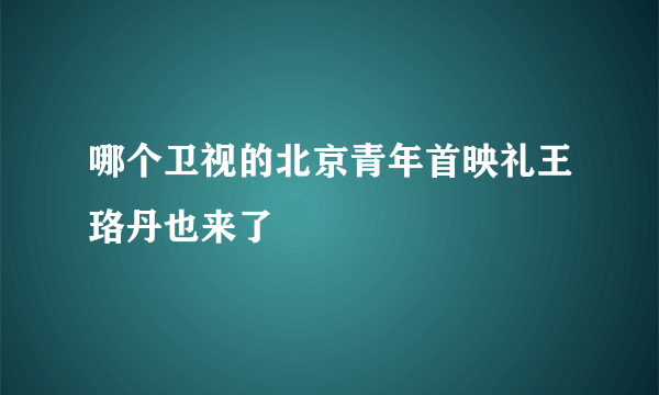 哪个卫视的北京青年首映礼王珞丹也来了