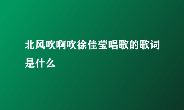 北风吹啊吹徐佳莹唱歌的歌词是什么