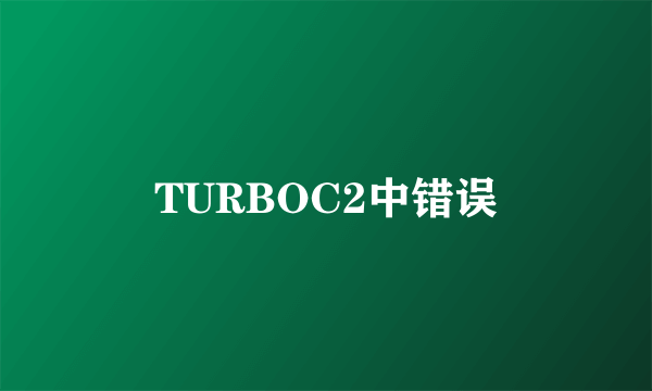 TURBOC2中错误