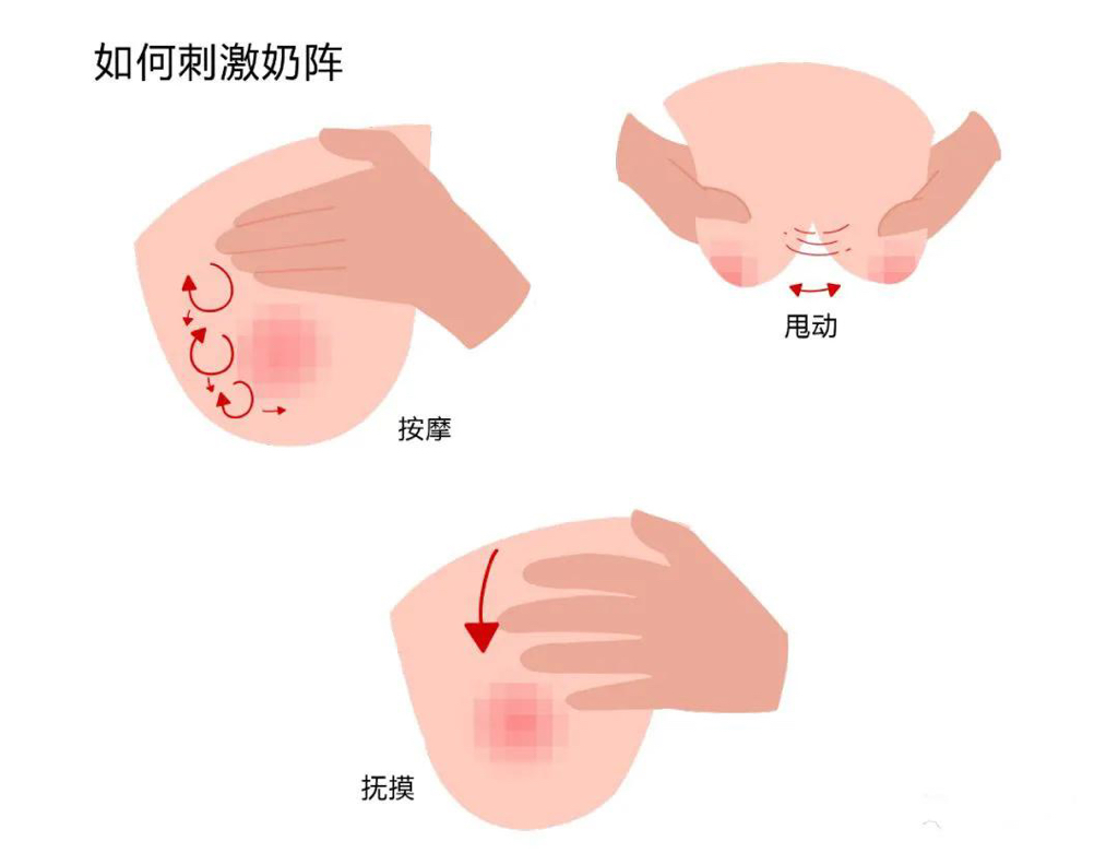 催奶师通奶步骤