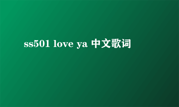 ss501 love ya 中文歌词