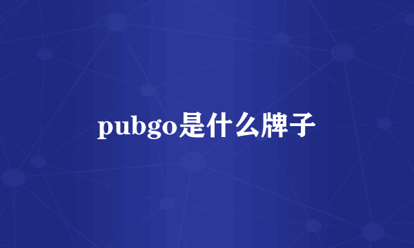 pubgo是什么牌子