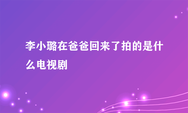 李小璐在爸爸回来了拍的是什么电视剧