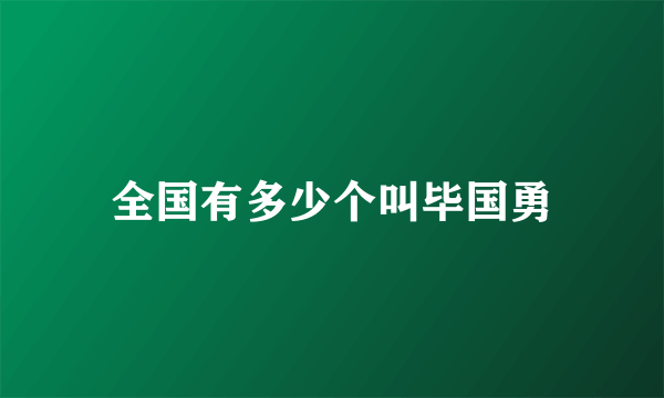 全国有多少个叫毕国勇