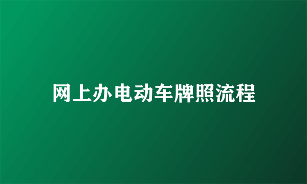 网上办电动车牌照流程