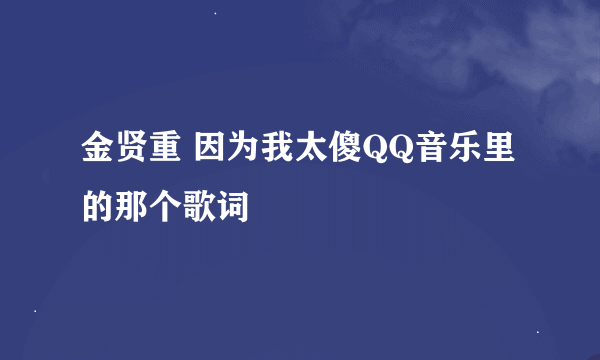 金贤重 因为我太傻QQ音乐里的那个歌词