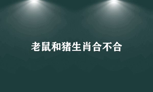 老鼠和猪生肖合不合