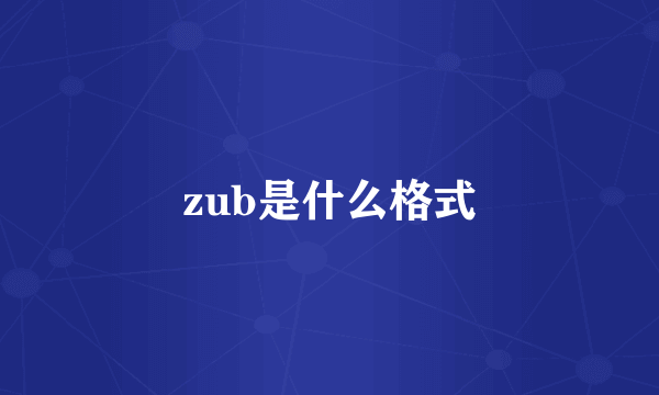 zub是什么格式