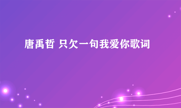 唐禹哲 只欠一句我爱你歌词