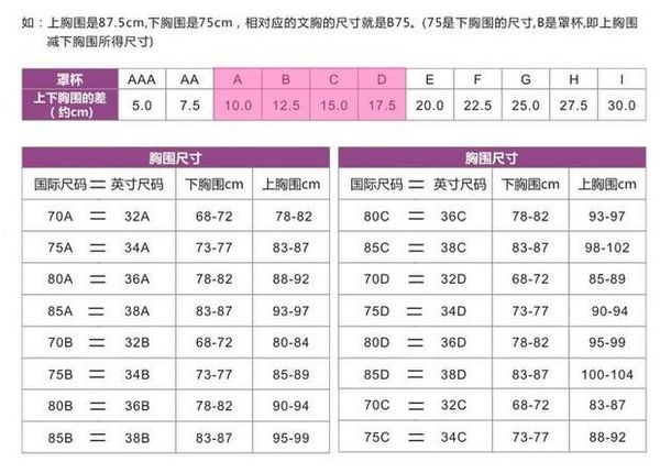 内衣75b胸围是多少