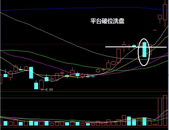 雷立军的基本信息