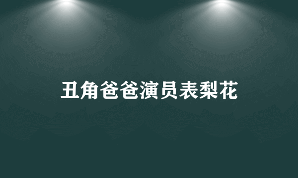 丑角爸爸演员表梨花