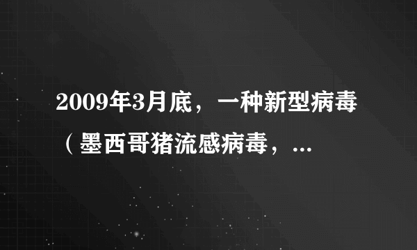 2009年3月底，一种新型病毒（墨西哥猪流感病毒，世卫命名为A型流感，中国称之为甲型H1N1流感病毒）在墨西