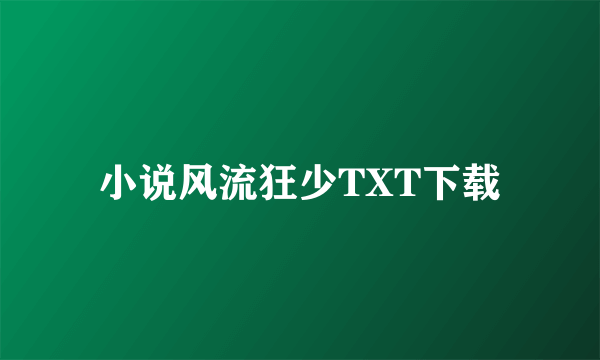 小说风流狂少TXT下载