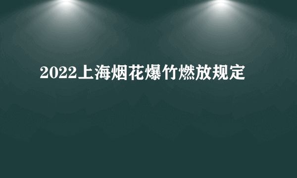 2022上海烟花爆竹燃放规定