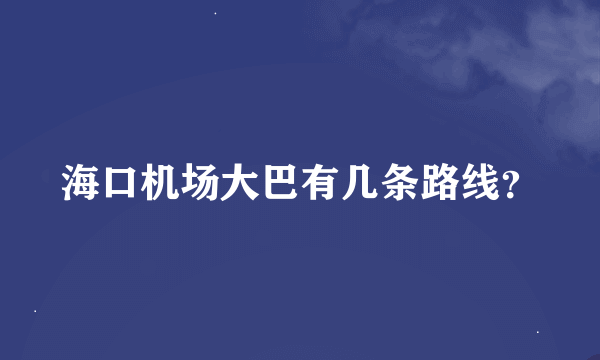 海口机场大巴有几条路线？