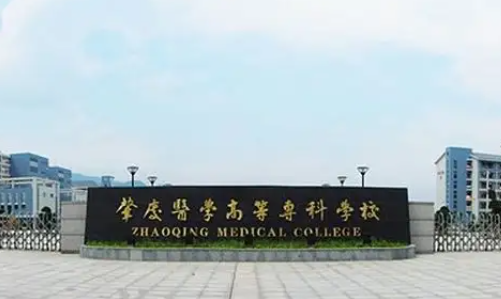 肇庆有什么大学