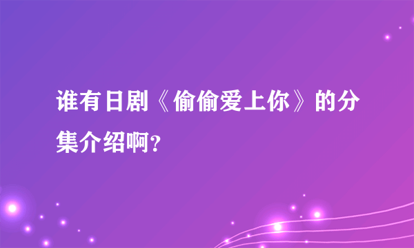 谁有日剧《偷偷爱上你》的分集介绍啊？