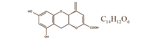 什么是茯茶素？