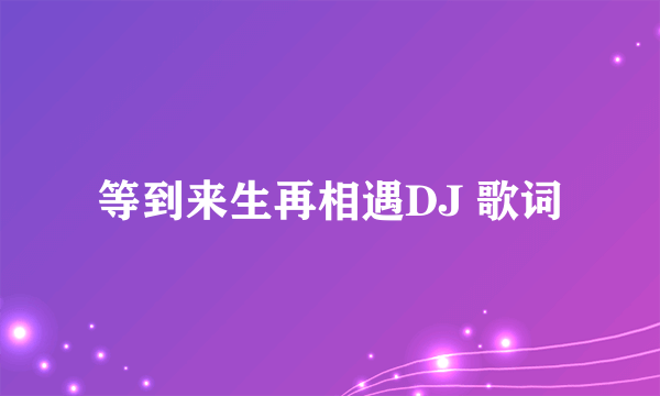 等到来生再相遇DJ 歌词