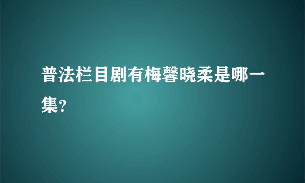 普法栏目剧有梅馨晓柔是哪一集？