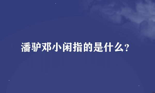 潘驴邓小闲指的是什么？