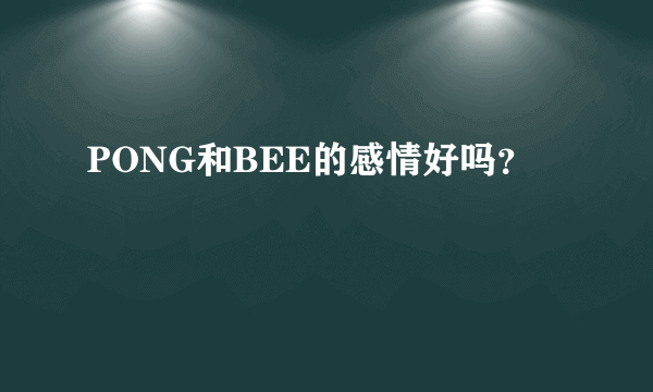 PONG和BEE的感情好吗？