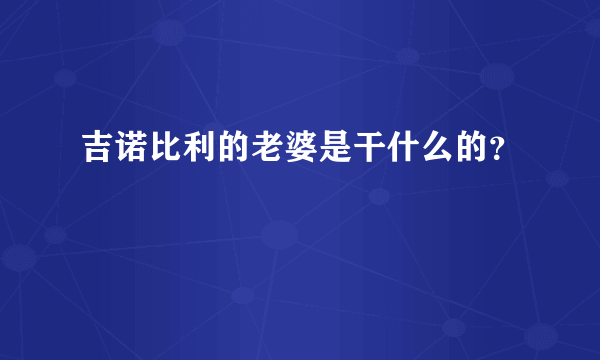 吉诺比利的老婆是干什么的？