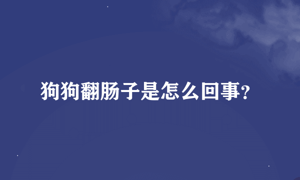 狗狗翻肠子是怎么回事？