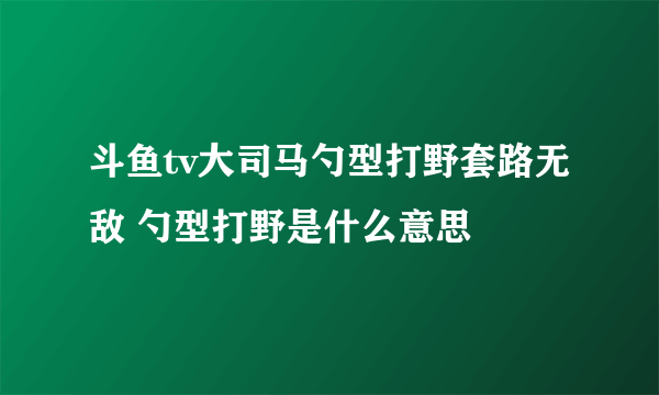 斗鱼tv大司马勺型打野套路无敌 勺型打野是什么意思