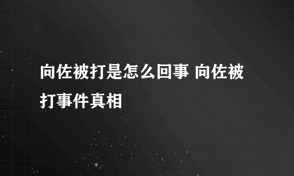 向佐被打是怎么回事 向佐被打事件真相