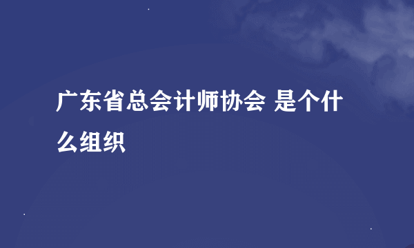 广东省总会计师协会 是个什么组织