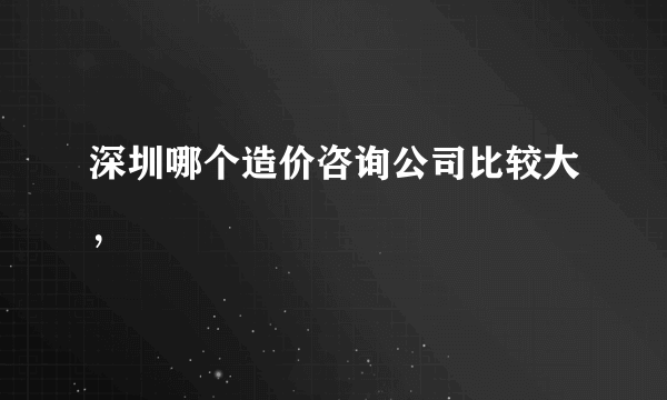 深圳哪个造价咨询公司比较大，