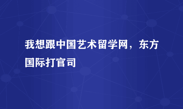 我想跟中国艺术留学网，东方国际打官司