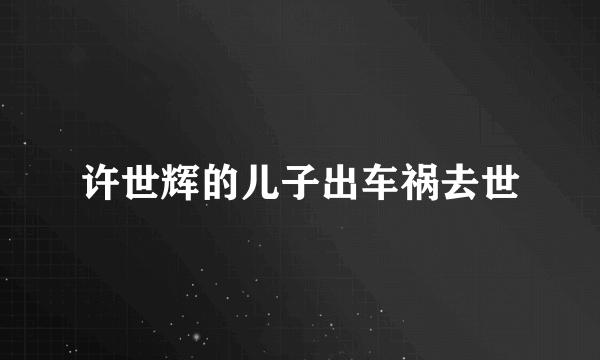 许世辉的儿子出车祸去世