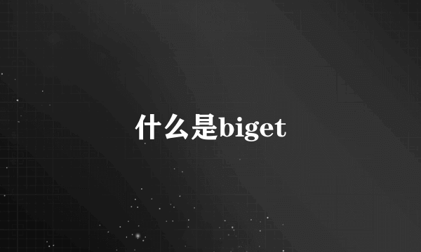 什么是biget