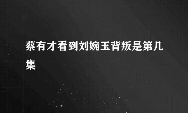 蔡有才看到刘婉玉背叛是第几集