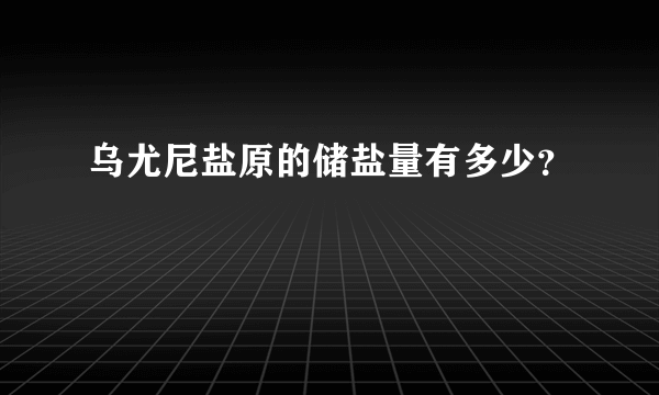 乌尤尼盐原的储盐量有多少？