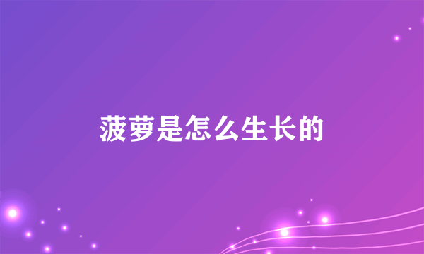 菠萝是怎么生长的