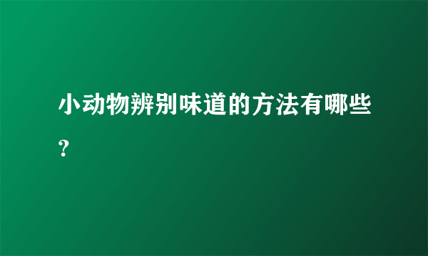 小动物辨别味道的方法有哪些？