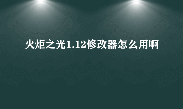 火炬之光1.12修改器怎么用啊