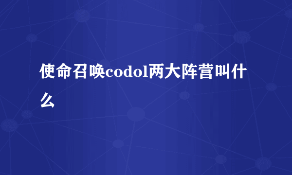 使命召唤codol两大阵营叫什么