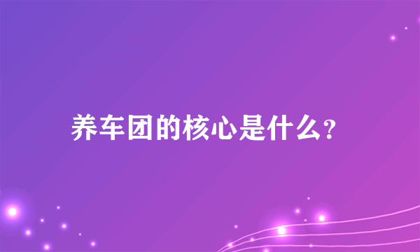 养车团的核心是什么？