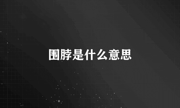 围脖是什么意思