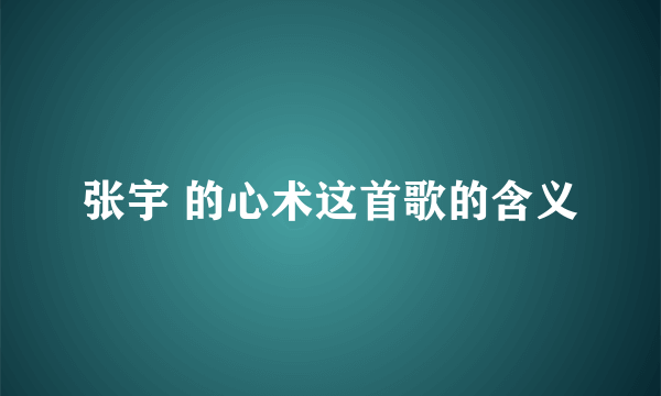 张宇 的心术这首歌的含义